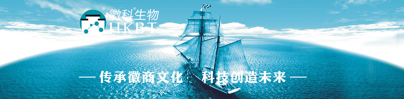 传承徽商文化 科技创造未来